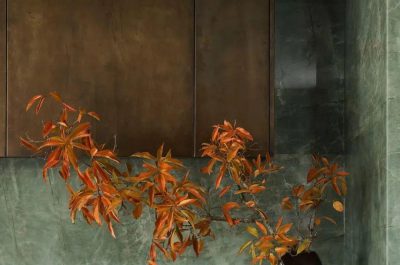 v2-71966499582fe5954f686404e68badfb_1440w